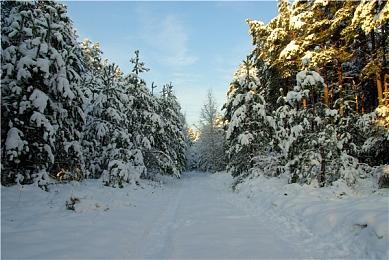 Netflix日本漏税12亿日元 将被额外追征约3亿日元